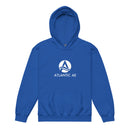 Youth heavy blend hoodie